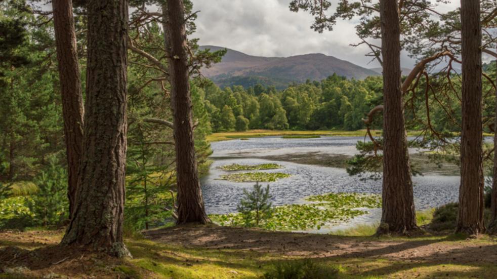 cairngorms national park